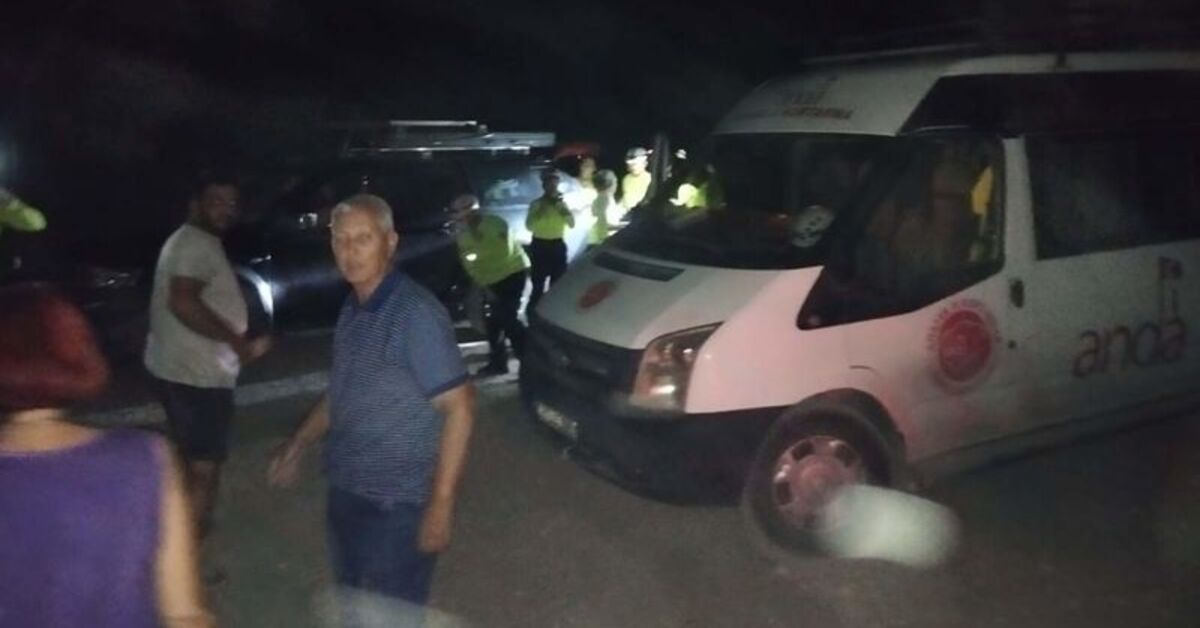 5 köpek, 6 kedi ölü bulundu! Belediyeden açıklama