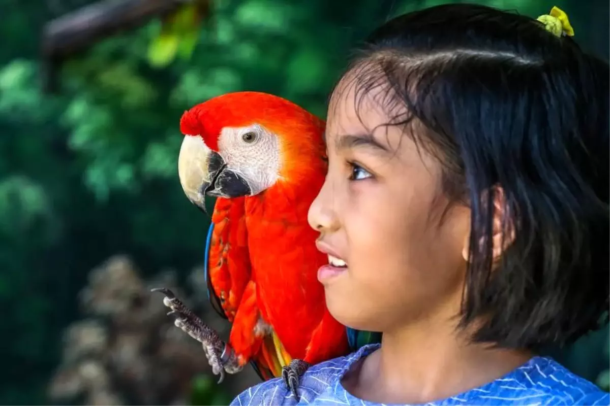 Filipinler’de Çocuk İşçi Sayısı Düştü
