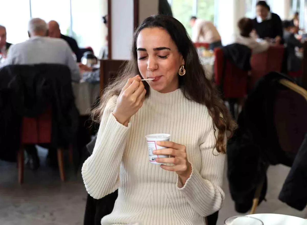 Çukurova’da Aktif Karbonlu Yoğurt Geliştirildi