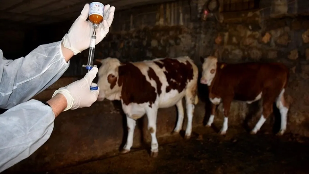 Almanya’da 35 yıl sonra ilk şap salgını