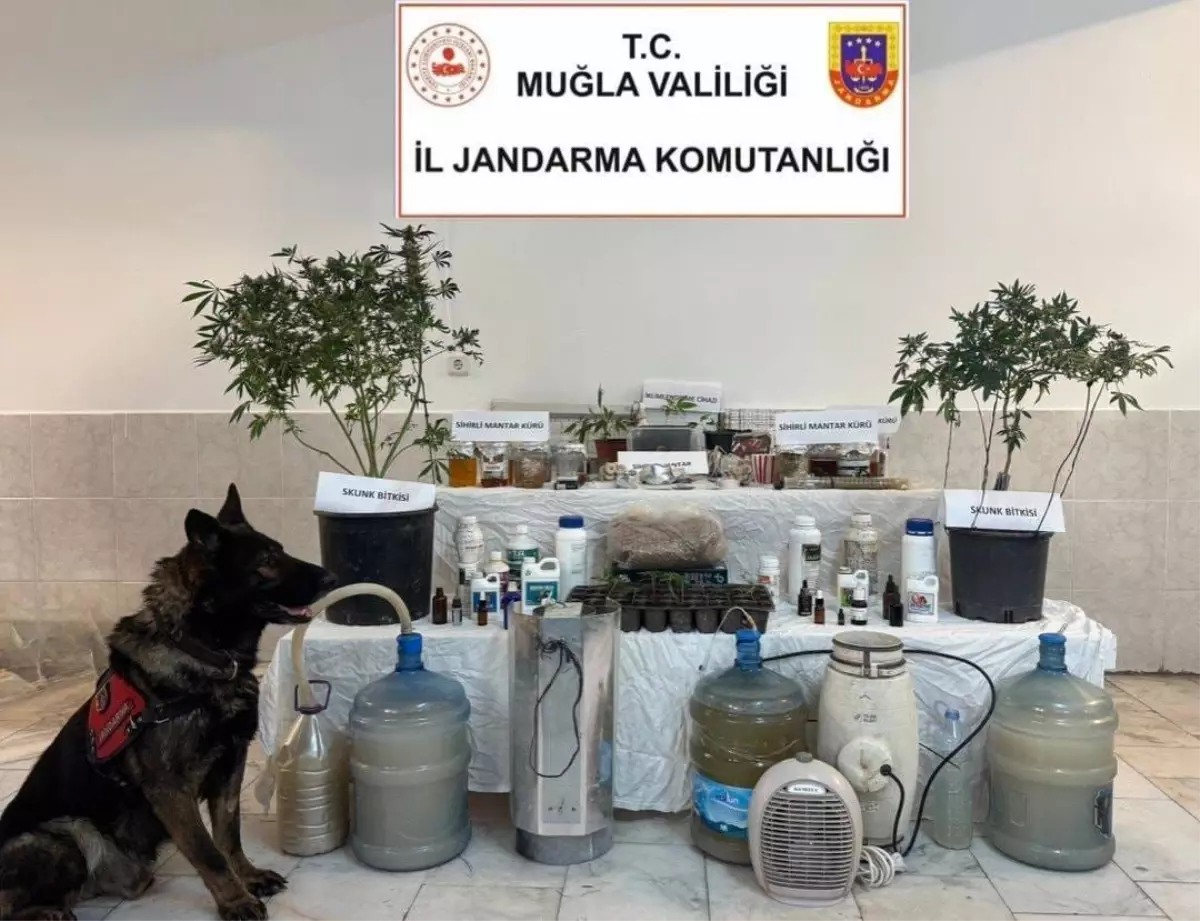 Muğla’da Jandarmadan Uyuşturucu ve Sahte İçki Operasyonu