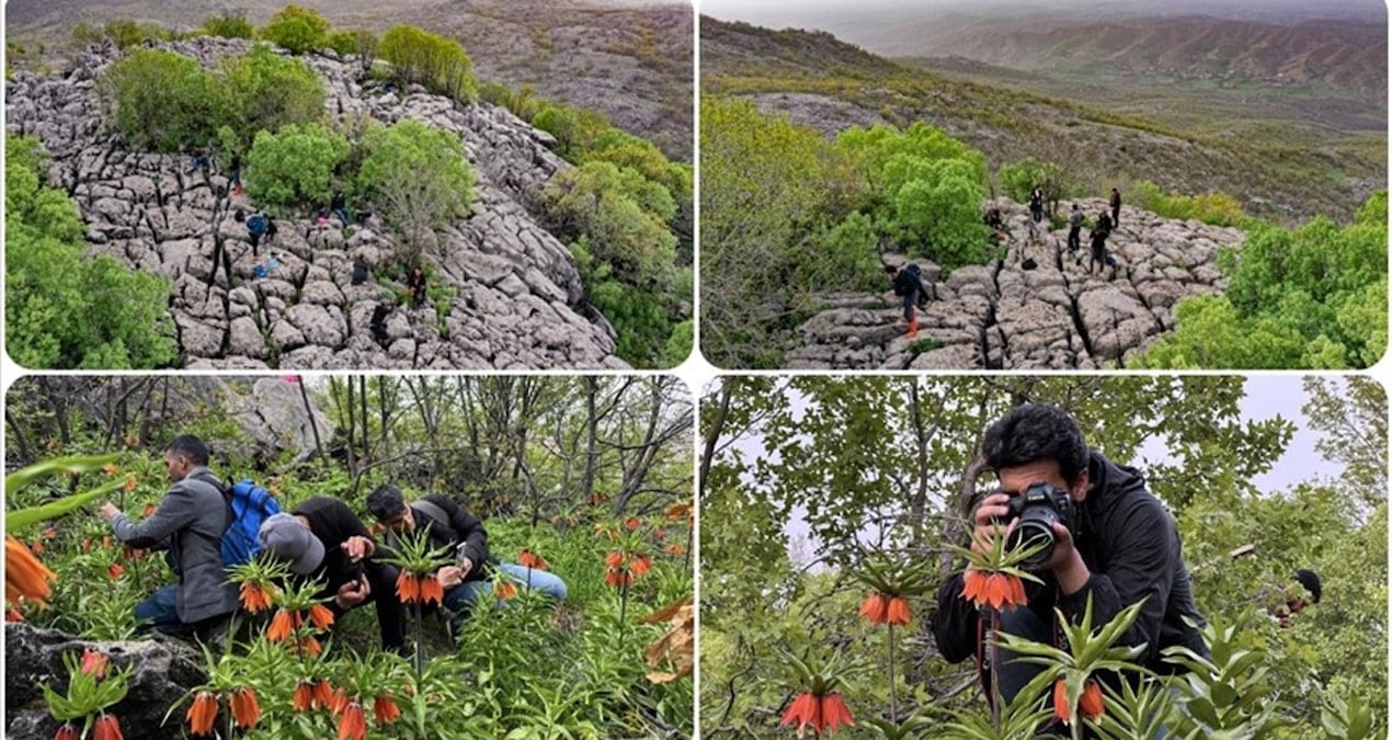 Fotoğraf tutkunlarının yeni rotası: Görese Dağı
